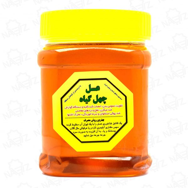 honey-forty-plant